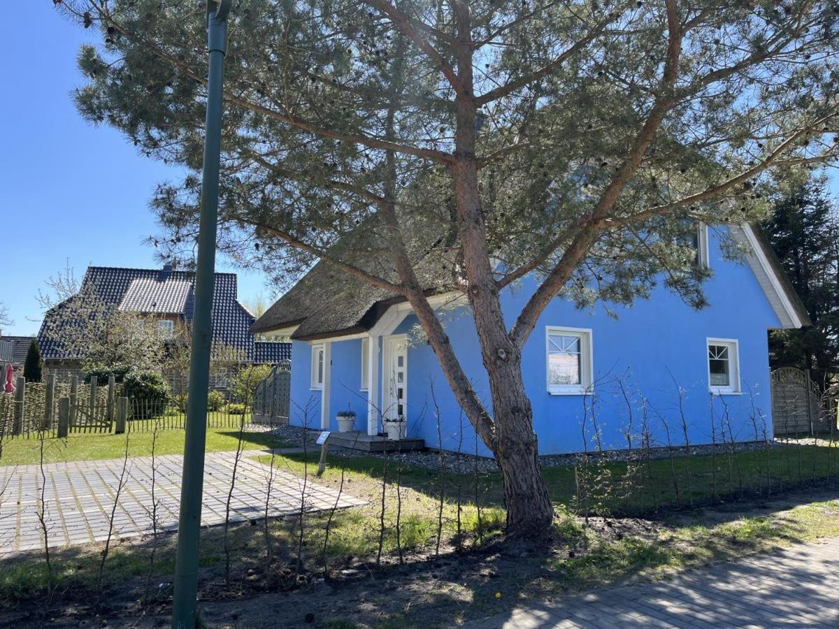 בורן Ferienhaus De Niege Leive מראה חיצוני תמונה